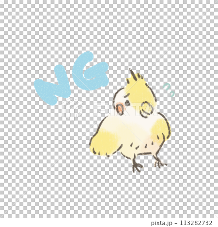 Illustration of a cockatiel with a NG mark 113282732
