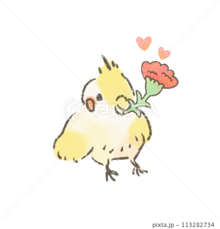 カーネーションを持ったオカメインコのイラスト 113282734