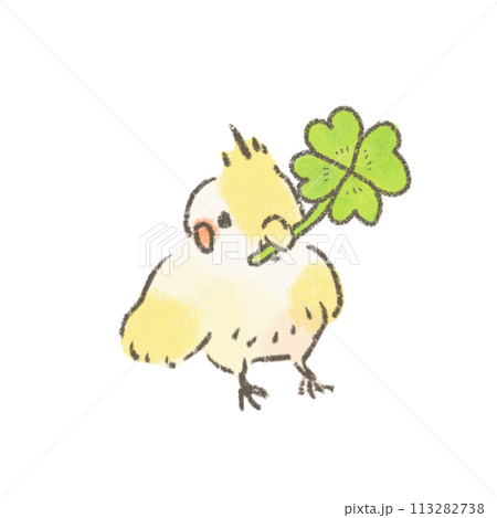 四葉のクローバーを持ったオカメインコのかわいいイラスト 113282738