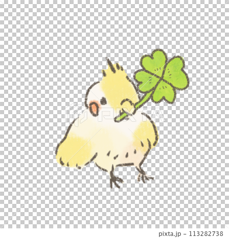 四葉のクローバーを持ったオカメインコのかわいいイラスト 113282738