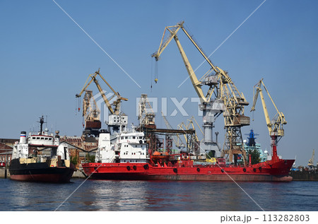 Working cranes in the port city Working cranes in the port city 113282803