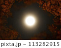 西都原　夜桜　朧月夜　宮崎 113282915