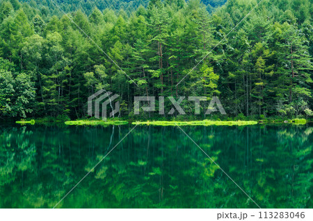 長野県茅野市　御射鹿池 113283046