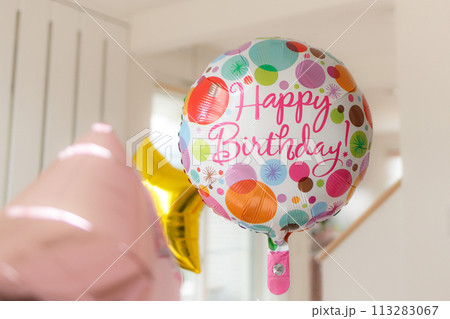 誕生日の飾りの風船 113283067