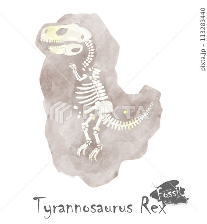 Fossil of Tyrannosaurus rex dinosaur in rock . Watercolor paint design . Vector . 113283440