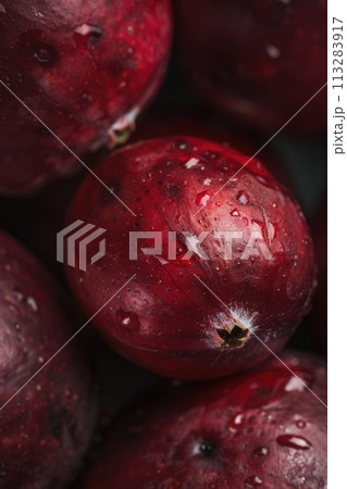 A sumptuous close-up of a cranberry glistens with water droplets A sumptuous close-up of a cranberry glistens with water droplets 113283917