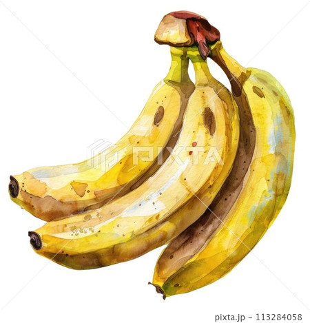 A bunch of ripe bananas comes to life in this watercolor painting 113284058