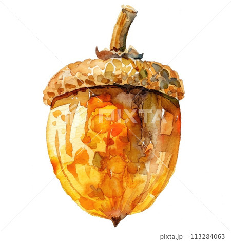A lively watercolor painting captures the warmth of an acorn squash 113284063