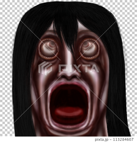 口を開けた幽霊または狂った女性 口を開けた幽霊または狂った女性 113284607