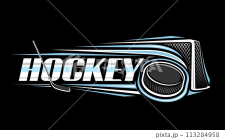 Vector logo for Ice Hockey 113284958