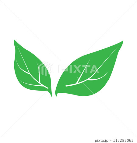 Leaf icon Leaf icon 113285063