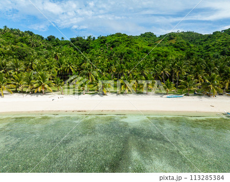 Coconut trees in beach with white sand and boats on clear water. Cobrador Island. Romblon, Philippines. 113285384