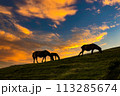 都井岬　親子馬　御崎馬　夕景　串間　宮崎　 113285674