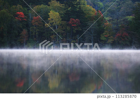 秋のオンネトーの紅葉した木々 秋のオンネトーの紅葉した木々 113285870