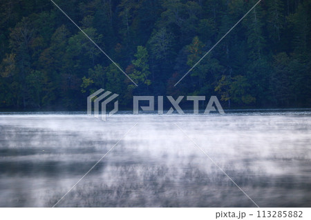 湖面に映る新緑 113285882