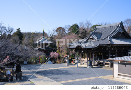 御瀧不動尊 境内 千葉県船橋市金杉 御瀧不動尊 境内 千葉県船橋市金杉 113286048
