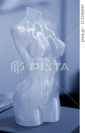 Woman body printed on 3D printer. Woman figure shaped object created 3D printer from plastic. Detailed prototype woman body printed on 3D printer close-up. New modern additive 3D printing technologies Woman body printed on 3D printer. Woman figure shaped object created 3D printer from plastic. Detailed prototype woman body printed on 3D printer close-up. New modern additive 3D printing technologies 113286097