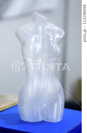 Woman body printed on 3D printer. Woman figure shaped object created 3D printer from plastic. Detailed prototype woman body printed on 3D printer close-up. New modern additive 3D printing technologies 113286098