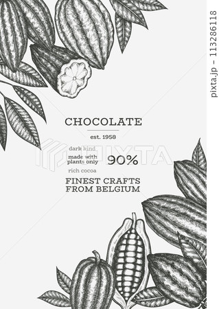 Cocoa Banner Template. Chocolate Retro Cocoa Beans Background. Vector Vintage Style Hand Drawn Illustration. Cocoa Banner Template. Chocolate Retro Cocoa Beans Background. Vector Vintage Style Hand Drawn Illustration. 113286118