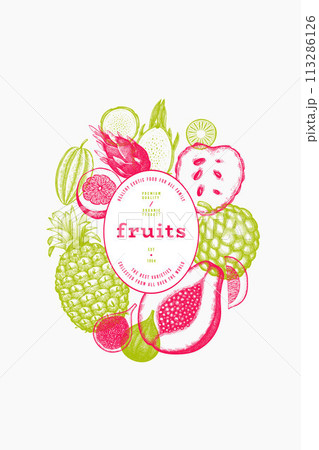 Tropical Fruit Design Template. Vector Hand Drawn Exotic Fruit Banner. Vintage Style Menu Illustration. 113286126