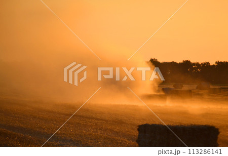 Combine harvester pressing straw from field into bales driving field on sunny summer evening. Field with bales of pressed wheat. Lots of dust on field. Agricultural agro industrial harvesting works 113286141