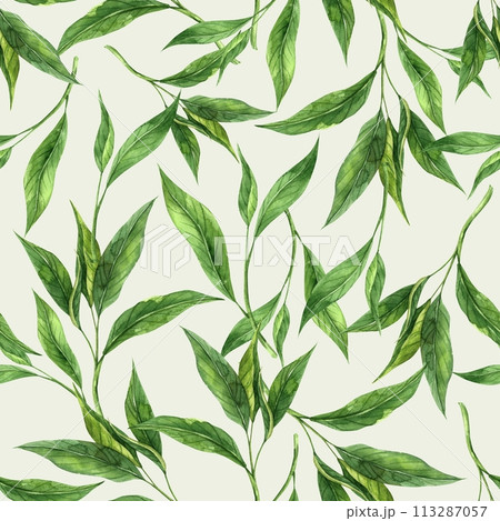 Watercolor pattern of fresh tea leaves on a beige background. Hand drawn illustration on isolated background, suitable for menu design, packaging, poster, website, textile, invitation, ceramics. Watercolor pattern of fresh tea leaves on a beige background. Hand drawn illustration on isolated background, suitable for menu design, packaging, poster, website, textile, invitation, ceramics. 113287057
