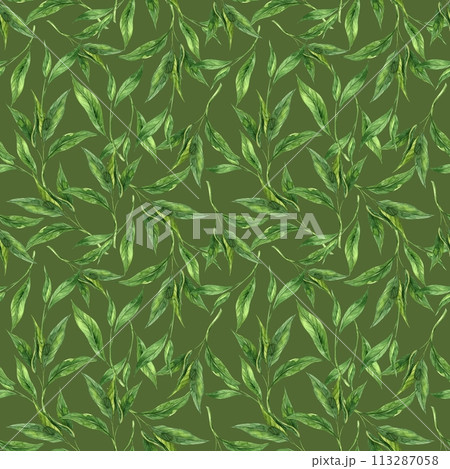 Watercolor pattern of fresh tea leaves on a green background. Hand drawn illustration on isolated background, suitable for menu design, packaging, poster, website, textile, invitation, ceramics. Watercolor pattern of fresh tea leaves on a green background. Hand drawn illustration on isolated background, suitable for menu design, packaging, poster, website, textile, invitation, ceramics. 113287058