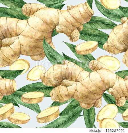 Watercolor seamless pattern with realistic ginger and leaves on a blue background. Illustration is hand drawn, suitable for menu design, packaging, poster, website, textile, invitation, brochure. Watercolor seamless pattern with realistic ginger and leaves on a blue background. Illustration is hand drawn, suitable for menu design, packaging, poster, website, textile, invitation, brochure. 113287091