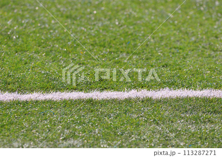 サッカー場　芝生とピッチのライン 113287271