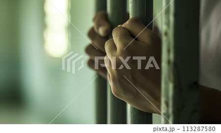 Hand Gripping Jail Bars With Defocused Background 113287580
