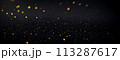 Gold glitter sparkles black background. Christmas background with bokeh 113287617