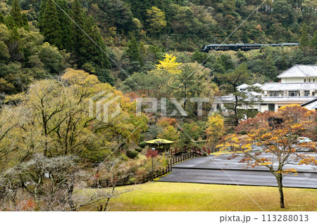 宮崎県青井岳自然公園を行く観光列車36ぷらす3JR九州D&S列車 宮崎県青井岳自然公園を行く観光列車36ぷらす3JR九州D&S列車 113288013