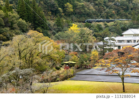 宮崎県青井岳自然公園を行く観光列車36ぷらす3JR九州D&S列車 113288014