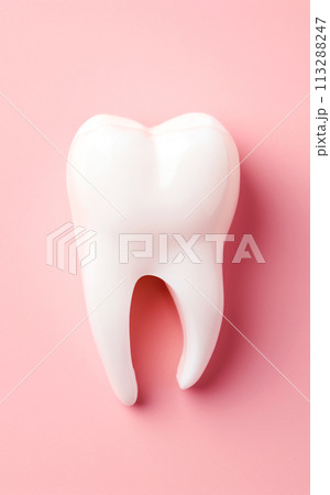 Molar human tooth model, empty pink background, copy space. Dental health concept, dental services medicine 113288247