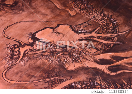 龍源院 開祖堂 龍の天井画 龍源院 開祖堂 龍の天井画 113288534