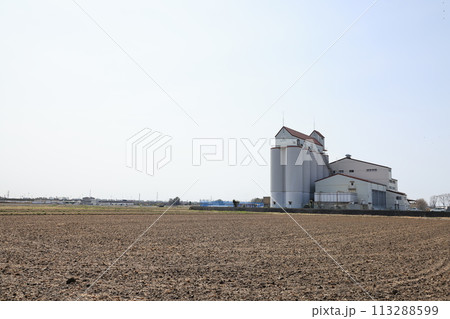 埼玉県久喜市菖蒲町のカントリーエレベーターの見える風景 埼玉県久喜市菖蒲町のカントリーエレベーターの見える風景 113288599