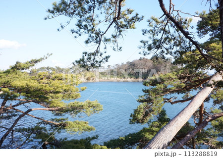 3月松島 福浦島から見る松島の景色 3月松島 福浦島から見る松島の景色 113288819