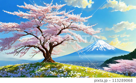 満開の桜と富士山 113289068