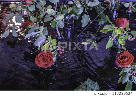 いばらきフラワーパーク　水に浮かぶ薔薇 113289524