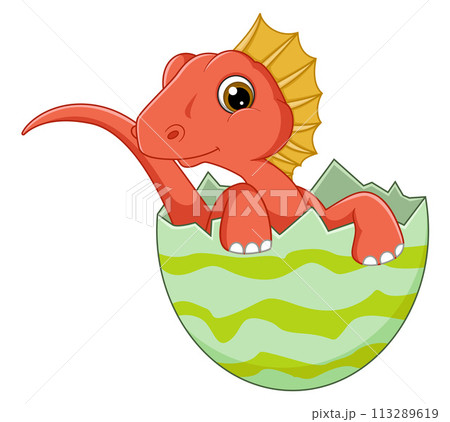 Cartoon baby amargasaurus hatching from egg of illustration Cartoon baby amargasaurus hatching from egg of illustration 113289619