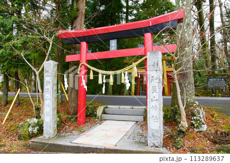 新屋山神社 新屋山神社 113289637