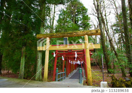 新屋山神社 新屋山神社 113289638