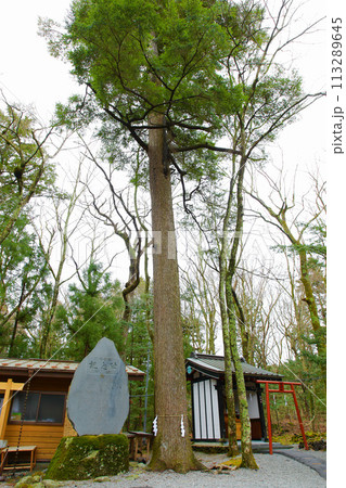 新屋山神社 113289645