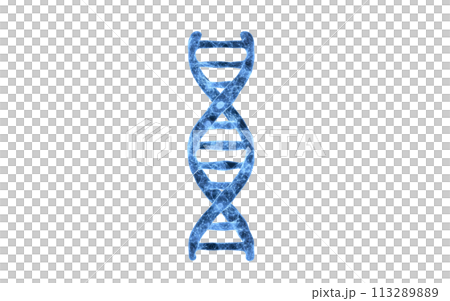 DNA with blue transparent structure, 3d rendering. DNA with blue transparent structure, 3d rendering. 113289889