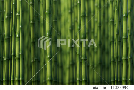 Green natural bamboo plant background, 3d rendering. 113289903