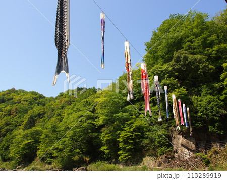 香嵐渓の鯉のぼり風景 113289919
