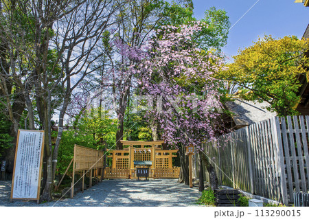 横浜市　伊勢山皇大神宮　三ツ鳥居の大神神社（おおみわじんじゃ） 113290015