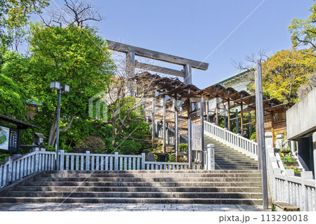 伊勢山皇大神宮　表参道　一ノ鳥居 113290018
