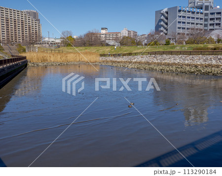荒川区立瑞光橋公園にある隅田川の入り江 荒川区立瑞光橋公園にある隅田川の入り江 113290184