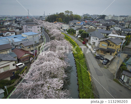小江戸川越桜の名所　新河岸川　埼玉県川越市（ドローンによる空撮） 113290203